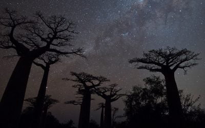 Madagaskarin kiertomatka Lokakuu 2026