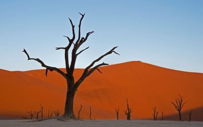 Namibian kiertomatka 15.4.-4.5.2026