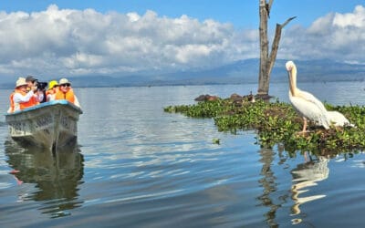 Päivin elämyssafarit