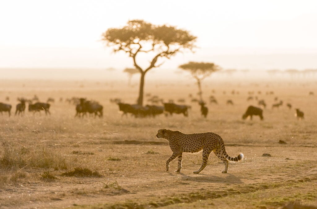 JKL2738_galleria_web