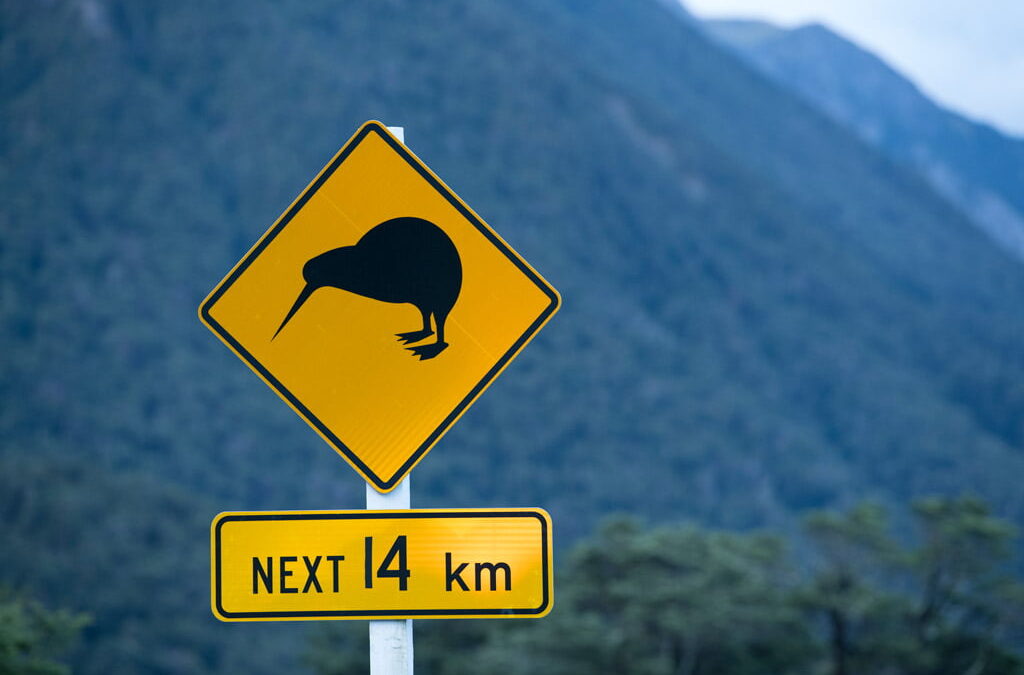 Kiwi