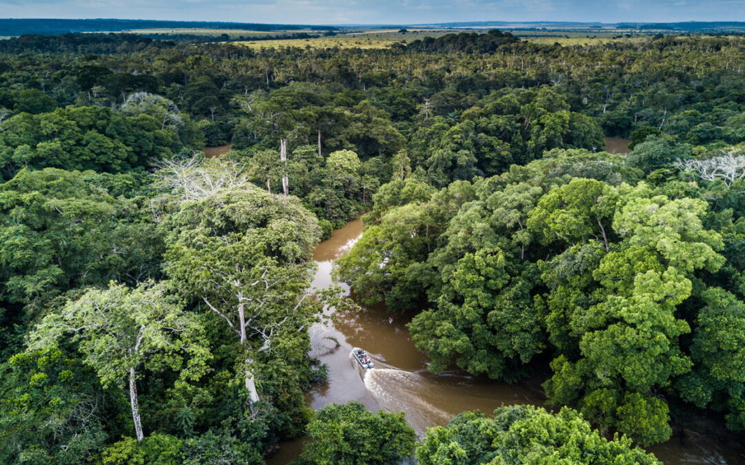 Odzala National Park – Republic of Congo