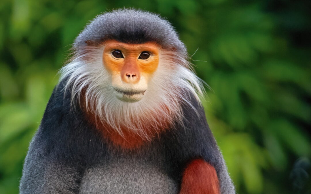 SKM_VN2023A_Vietnam_ww